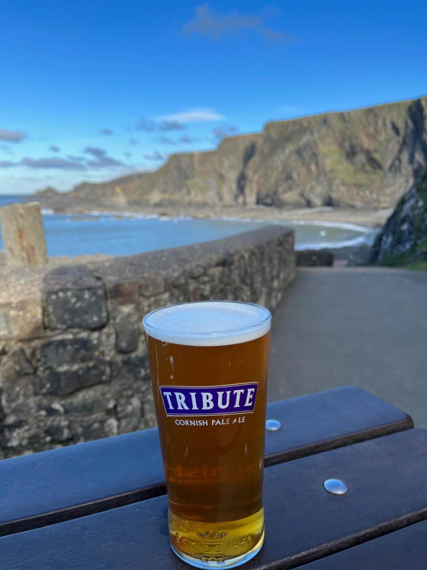 Hartland Quay Hotel Exterior photo