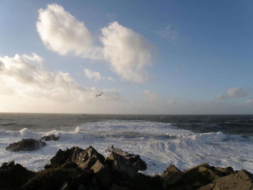 Hartland Quay Hotel Room photo