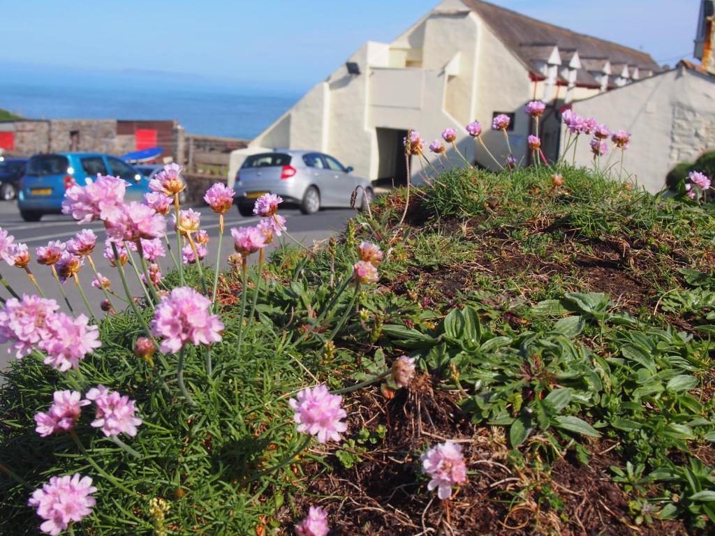 Hartland Quay Hotel Room photo